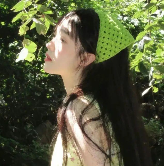 鲨与鲸